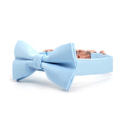 Baby Blue Collar