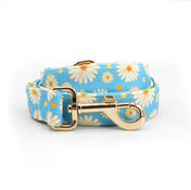 Miss Daisy Collar Leash Set