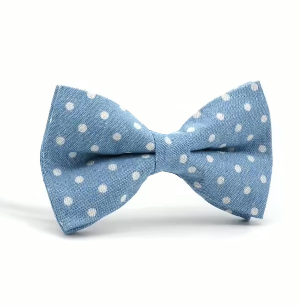 Dapper Dots Bow Tie