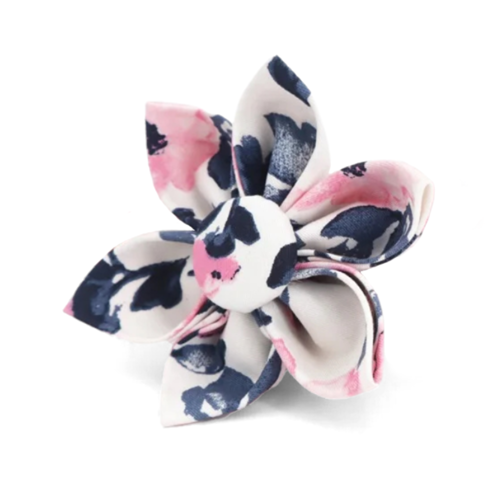Blossom Flower