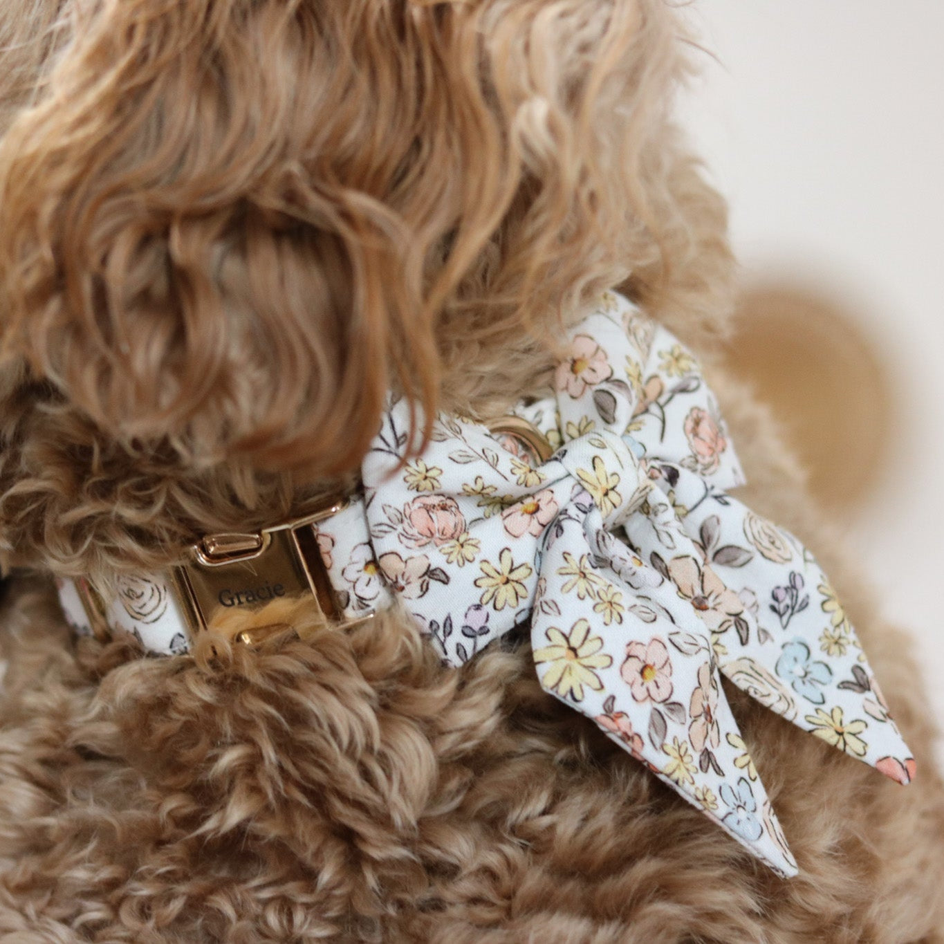 Sloane Collar