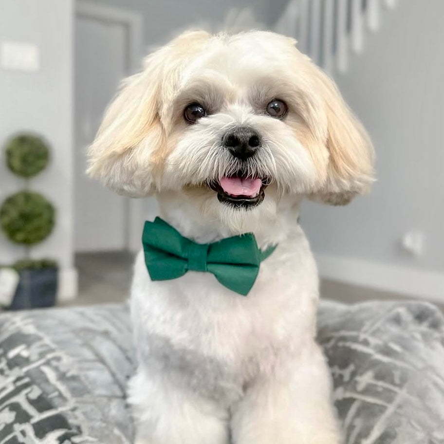 Emerald Bow Tie