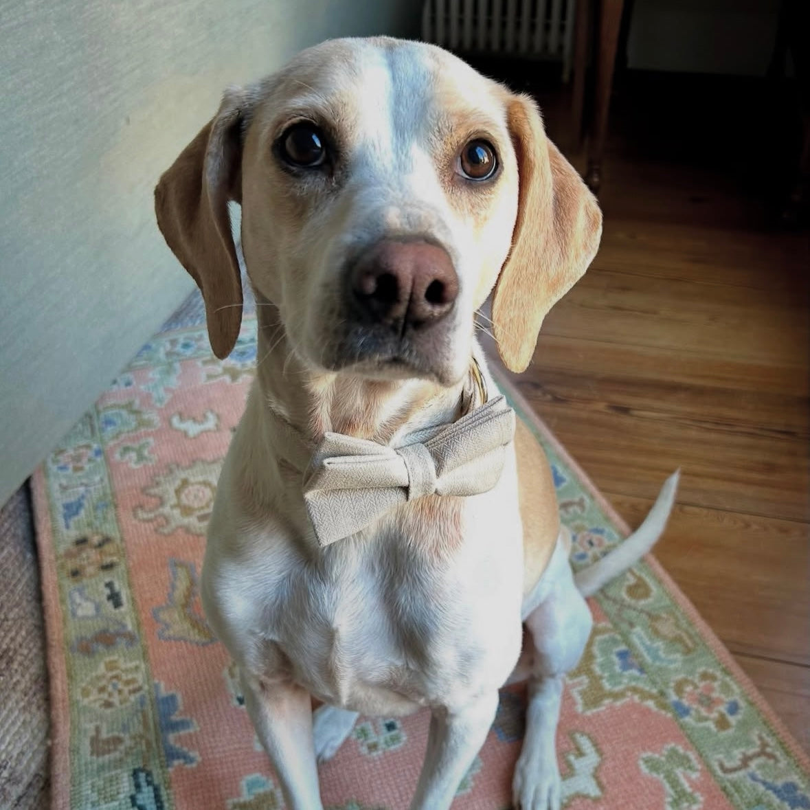 Herringbone Collar