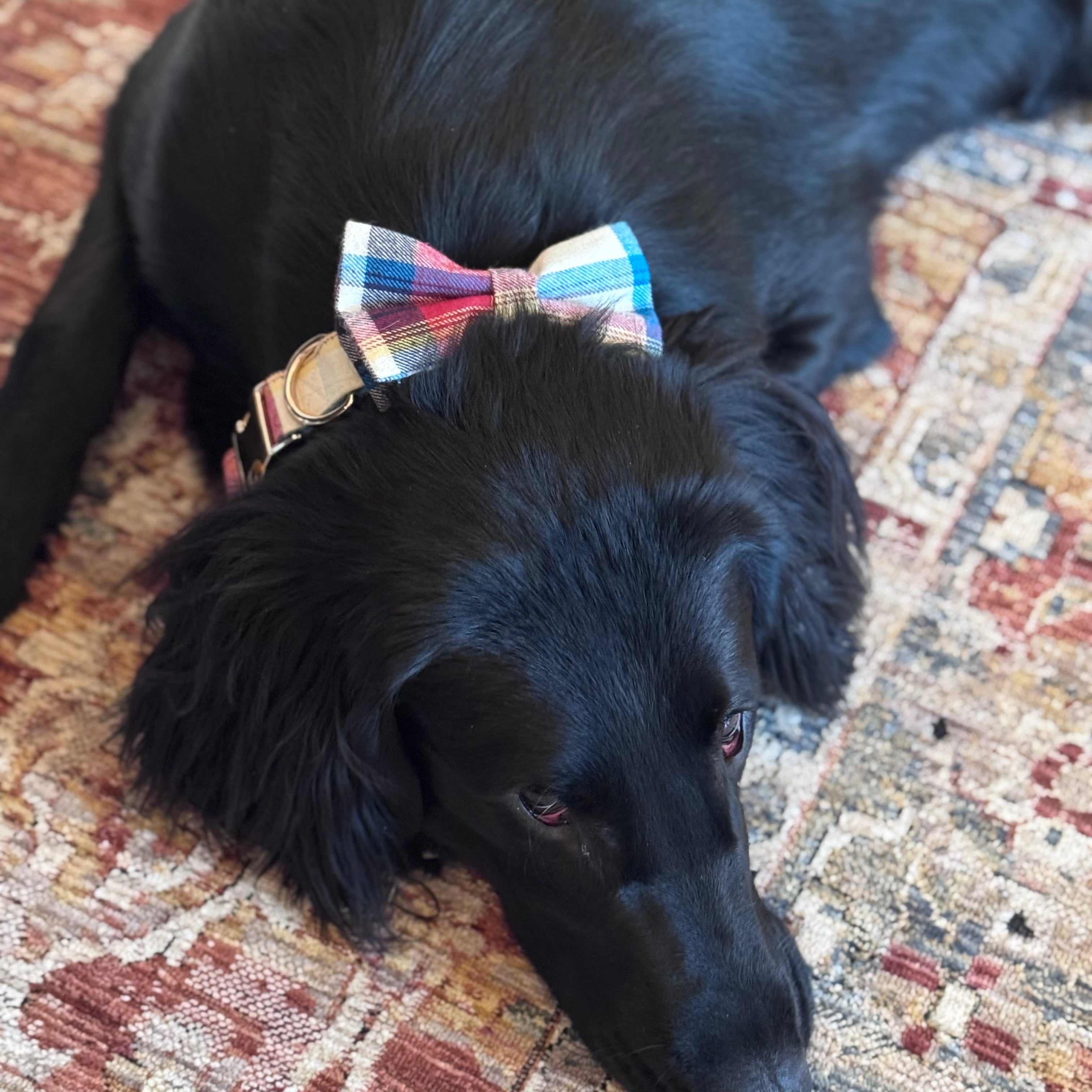 Harrison Bow Tie