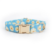 Miss Daisy Collar