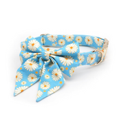 Miss Daisy Collar