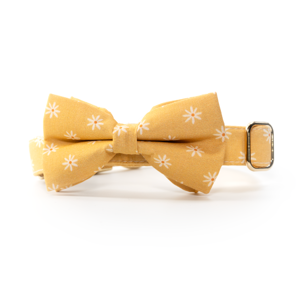 Sunny Days Collar