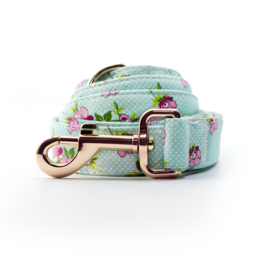 Daisy Dots Leash