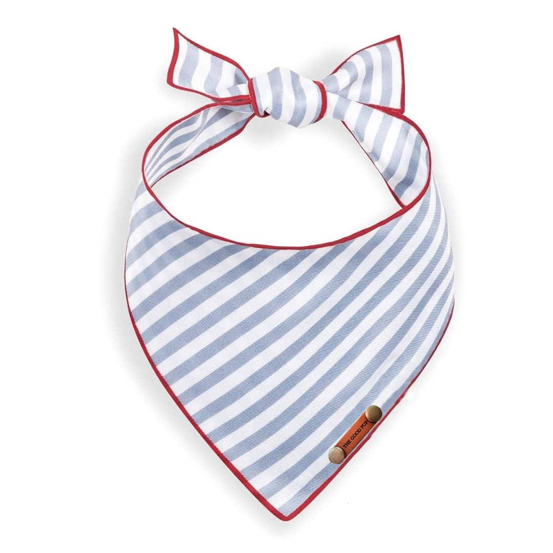 Blue Stripe Bandana