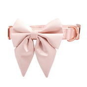 Sophie Collar