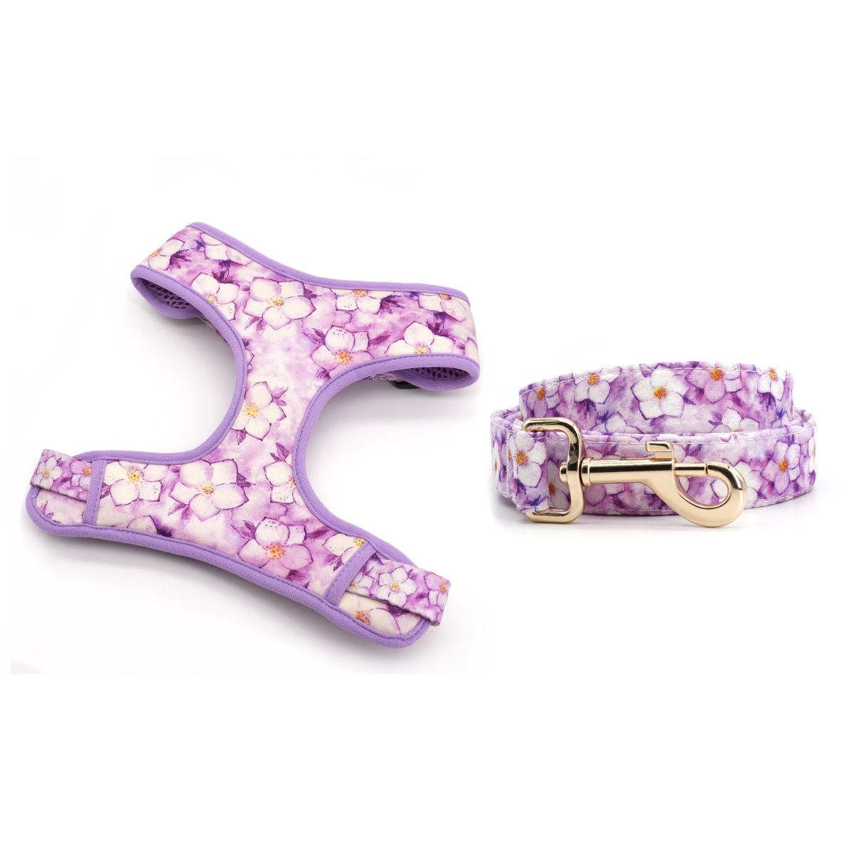 Floral Romance Harness Leash Set The Good Pup - Main Image