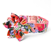 Isabel Collar Leash Set