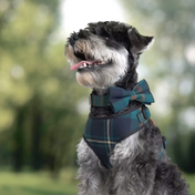 Tucker Harness