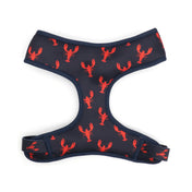 Lobster Love Harness