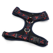 Lobster Love Harness Leash Set