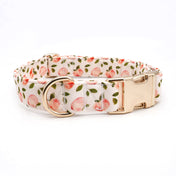 Summer Peaches Collar Leash Set