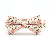 Summer Peaches Collar