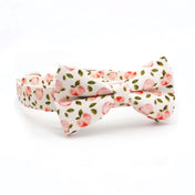 Summer Peaches Collar Leash Set