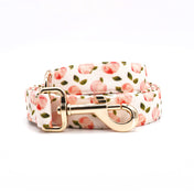 Summer Peaches Collar Leash Set