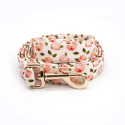 Summer Peaches Collar Leash Set