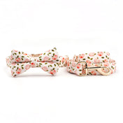 Summer Peaches Collar Leash Set