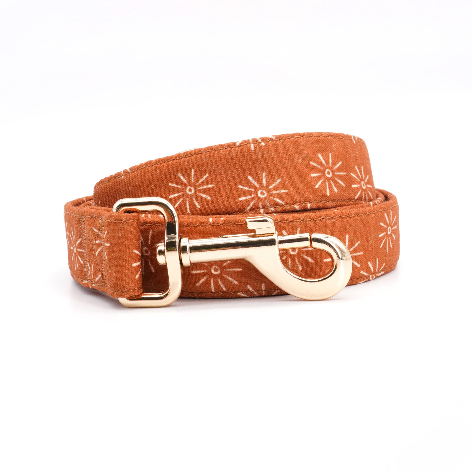 Suns Out Collar Leash Set