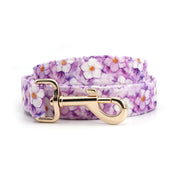 Floral Romance Collar Leash Set