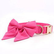 Signature Pink Collar Leash Set