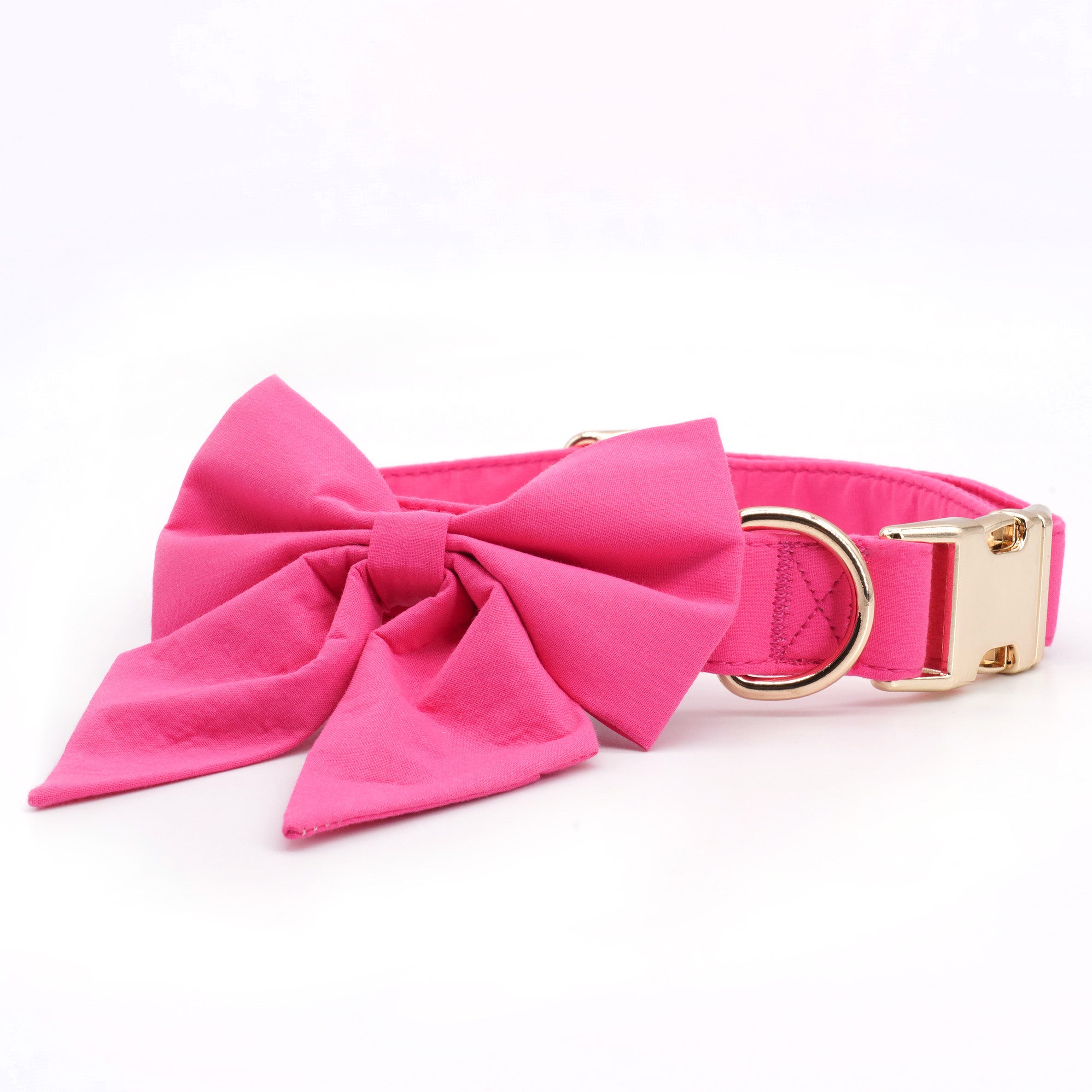 Signature Pink Collar Leash Set