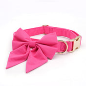 Signature Pink Collar