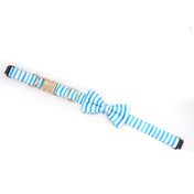 Fi Tracker + Nautical Blue Collar + 6 Month Subscription