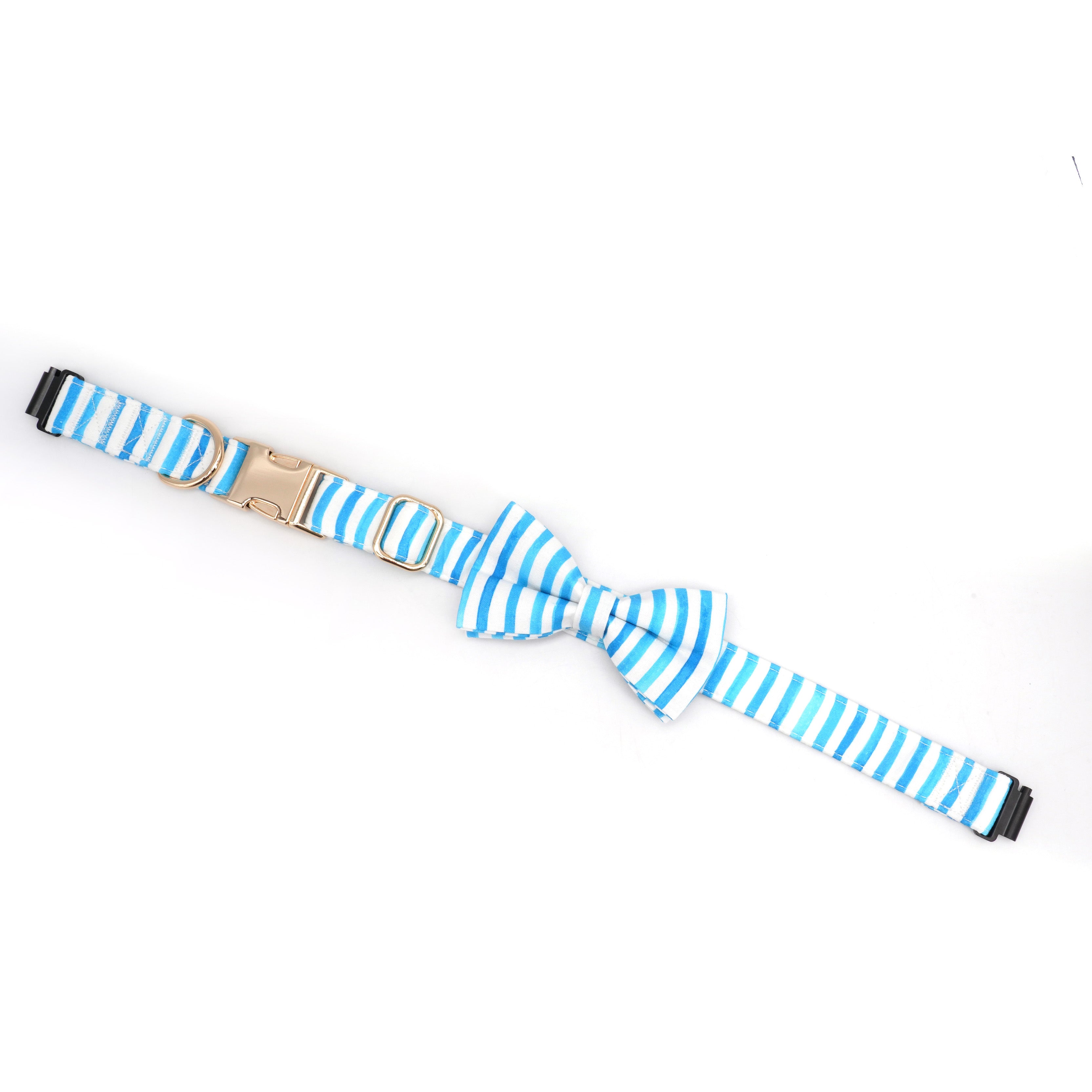 Fi Tracker + Nautical Blue Collar + 6 Month Subscription