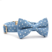 Dapper Dots Collar