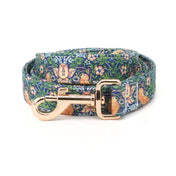 Go Wild Collar Leash Set