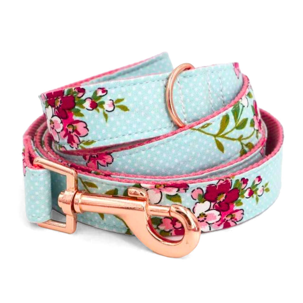 Daisy Dots Leash