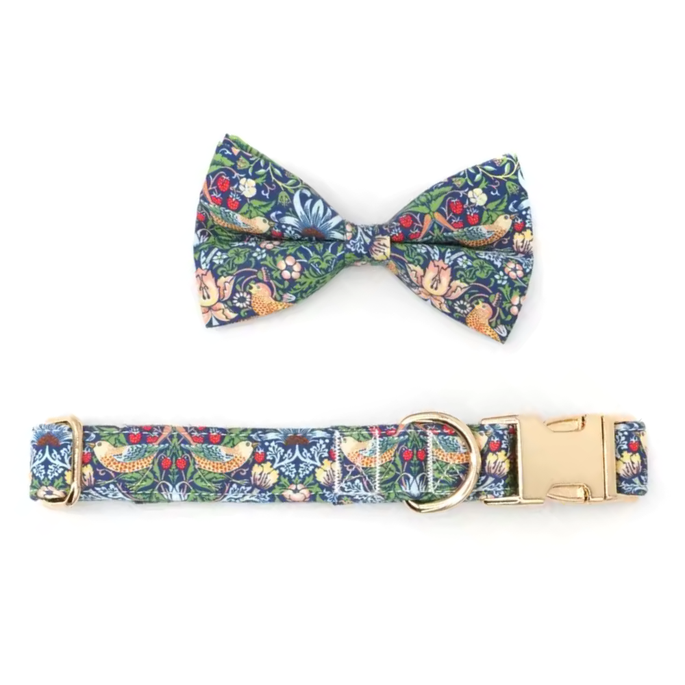 Go Wild Collar
