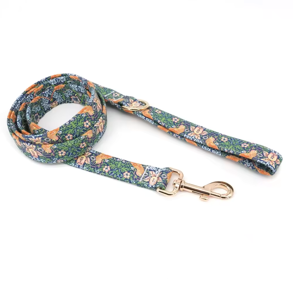 DapperDotsCollarTheGoodPupProductImage_16.png