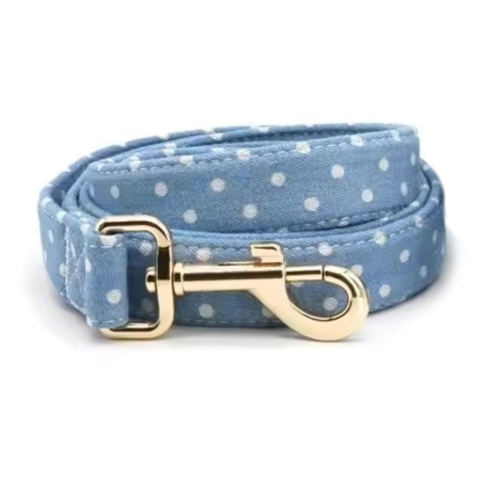 DapperDotsLeashTheGoodPupProductImage_1.png