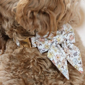 Fi Tracker + Sloane Collar + 6 Month Subscription