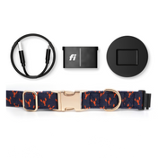 Fi Tracker + Lobster Love Collar + 6 Month Subscription