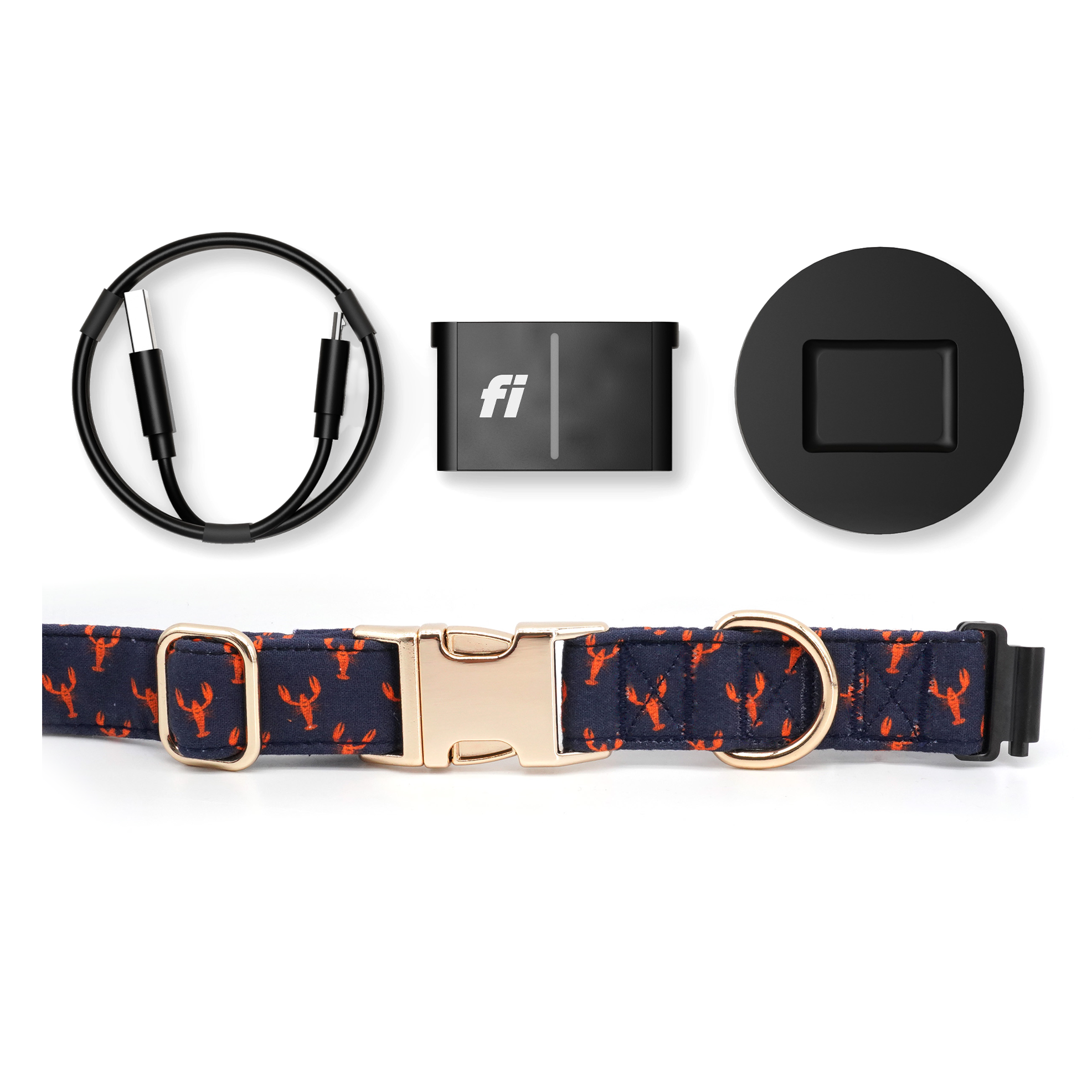 Fi Tracker + Lobster Love Collar + 6 Month Subscription