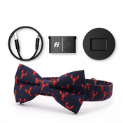 Fi Tracker + Lobster Love Collar + 6 Month Subscription