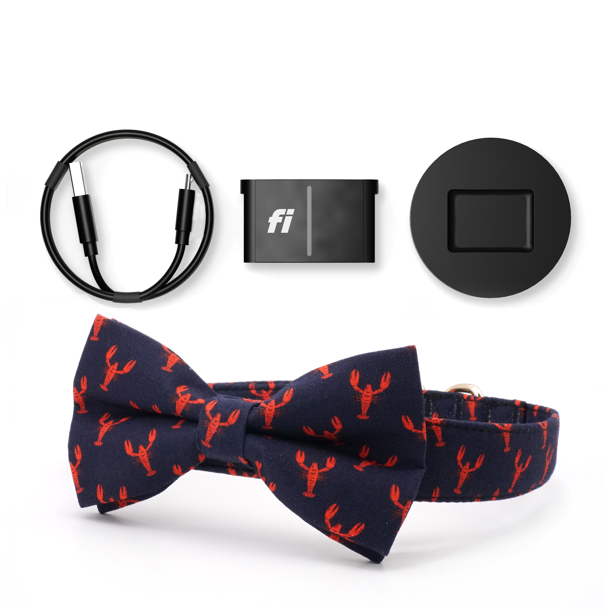 Fi Tracker + Lobster Love Collar + 6 Month Subscription