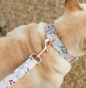 Simone Collar Leash Set