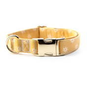 Sunny Days Collar Leash Set