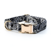 Bandana Collar Leash Set