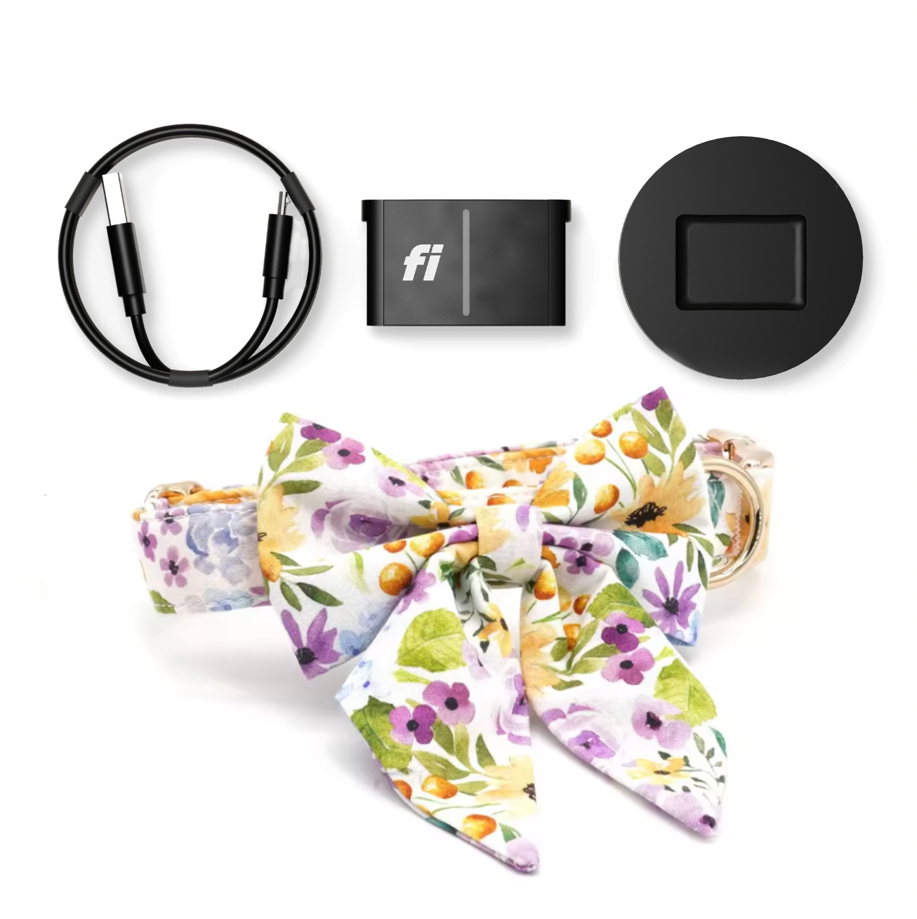 Fi Tracker + Spring Blooms Collar + 6 Month Subscription