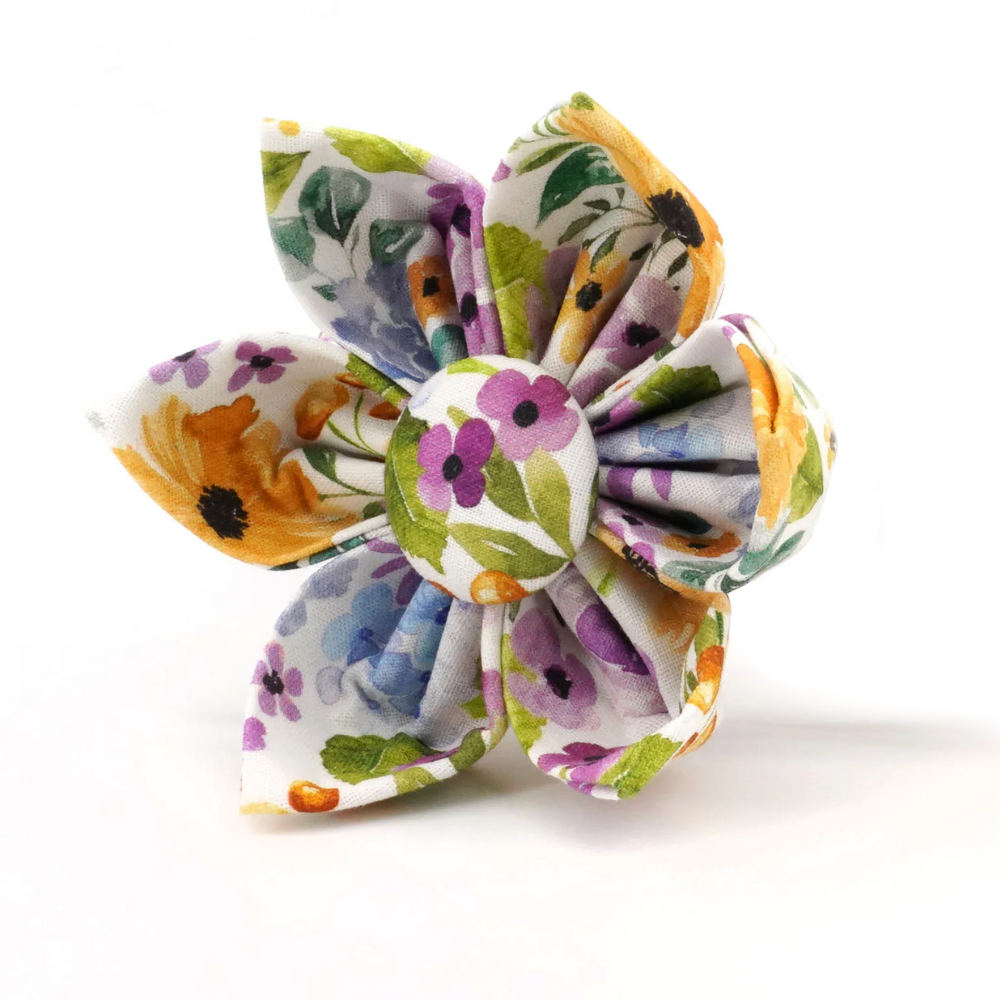SpringBloomsTheGoodPupCollarproductImage_2_32de1365-c3e8-4855-92dd-c508a9a46464.png