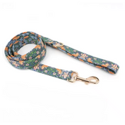 Go Wild Collar Leash Set