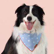 Blue Star Bandana
